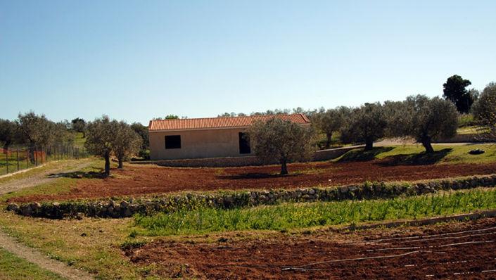 Image No.4-Land for sale