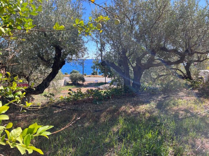 Image No.3-Terre à vendre à Kavousi