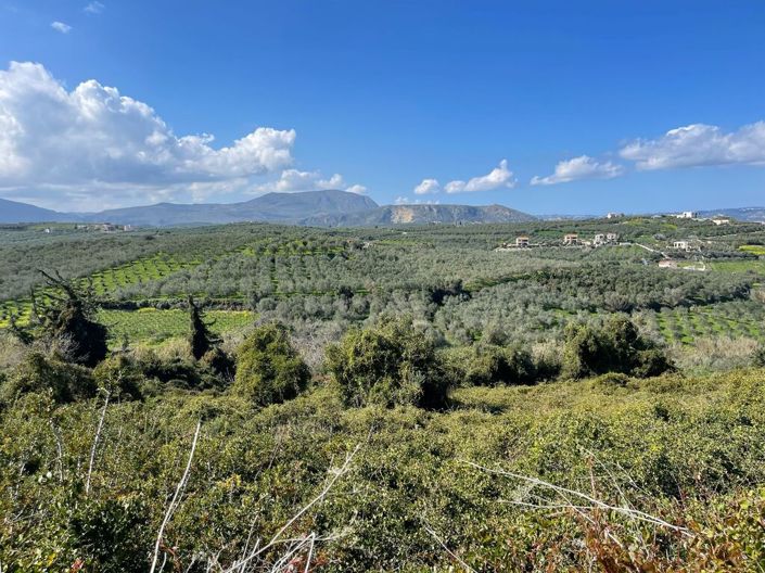 Image No.3-Terre à vendre à Tsivaras
