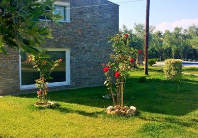 Photo 10 - Commercial 410 m² in Aegean islands