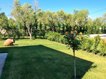 Photo 13 - Commercial 410 m² in Aegean islands
