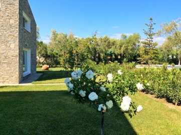 Photo 14 - Commercial 410 m² in Aegean islands
