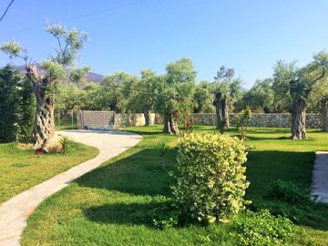 Photo 4 - Commercial 410 m² in Aegean islands