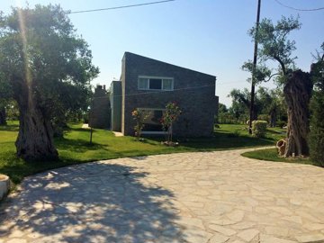 Photo 6 - Commercial 410 m² in Aegean islands