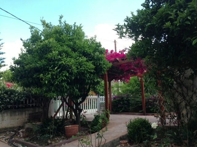 Image No.21-Propriété à vendre à Derveni