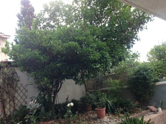 Image No.22-Propriété à vendre à Derveni