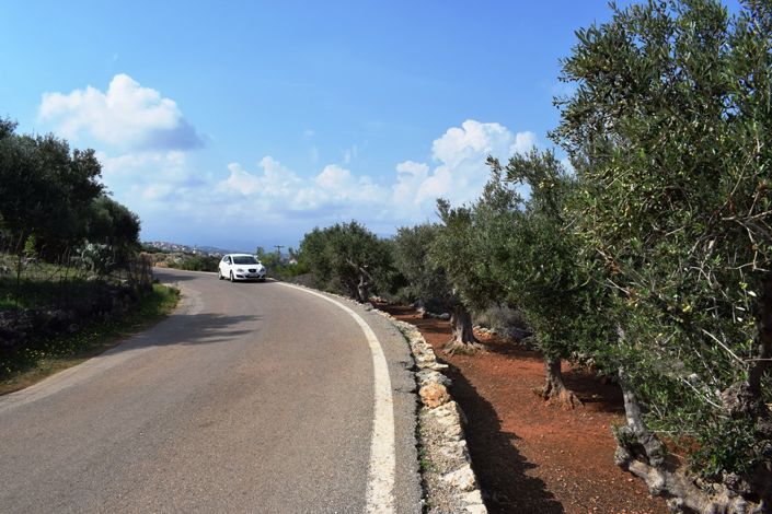 Image No.12-Terre à vendre à Kokkino Horio