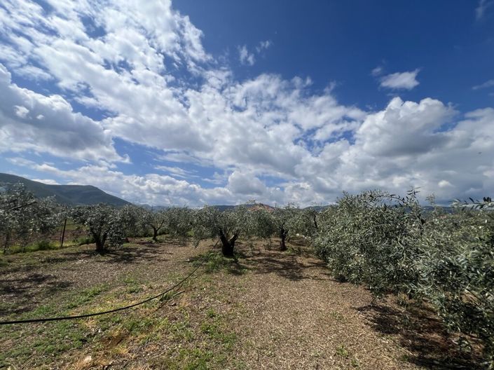 Image No.18-7 Bed Villa for sale