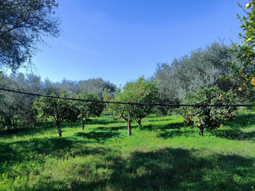 Photo 11 - Cottage 155 m² in Peloponnisos