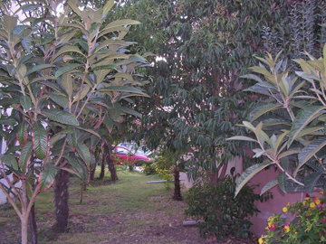 Photo 12 - Cottage 240 m² in Central Macedonia