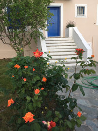 Photo 2 - Cottage 151 m² in Attica