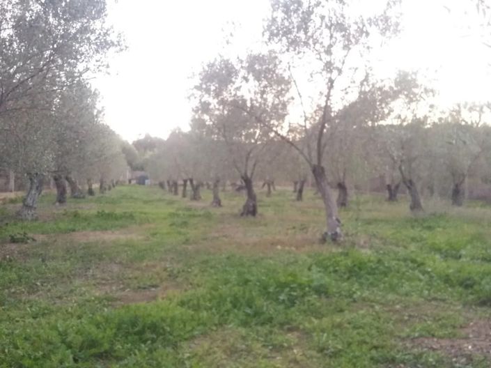 Image No.16-Hotel for sale