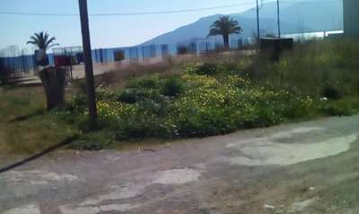 Photo 3 - Land 0 m² in Peloponnisos