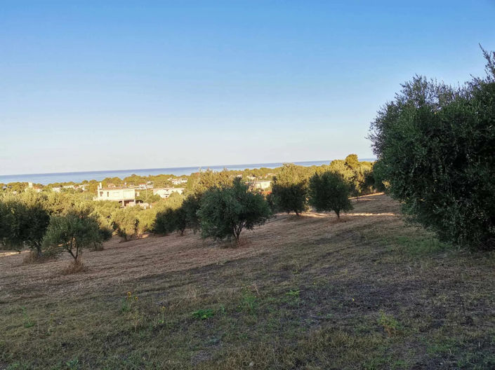 Image No.1-Land for sale