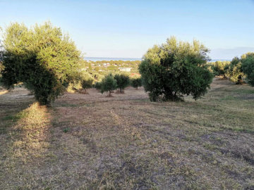 Photo 2 - Land 0 m² in Peloponnisos