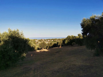 Photo 3 - Land 0 m² in Peloponnisos