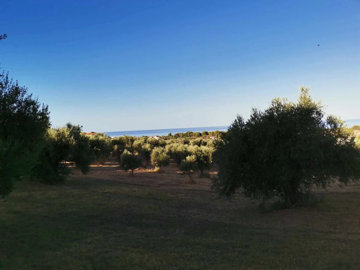 Photo 4 - Land 0 m² in Peloponnisos