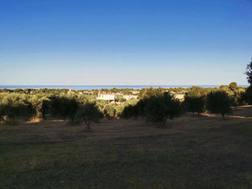 Photo 7 - Land 0 m² in Peloponnisos