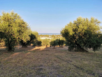 Photo 9 - Land 0 m² in Peloponnisos