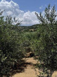 Photo 11 - Villa 105 m² in Crete