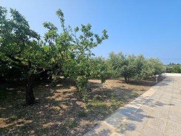 Photo 4 - Villa 288 m² in Central Macedonia