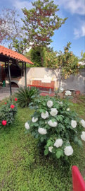 Photo 5 - Cottage 130 m² in Attica