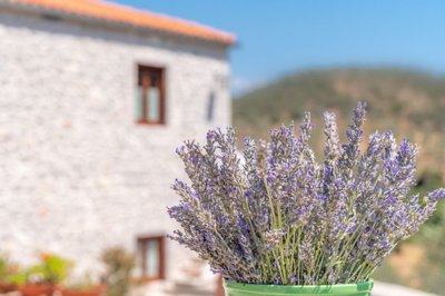 Photo 6 - Villa 420 m² in Peloponnese