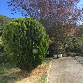 Photo 10 - Cottage 150 m² in Central Macedonia