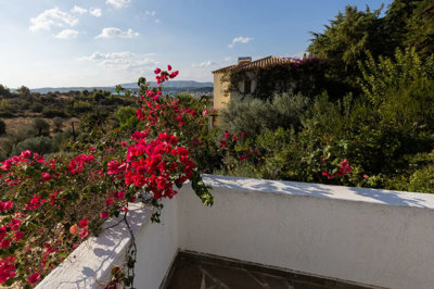 Photo 5 - Cottage 162 m² in Peloponnese
