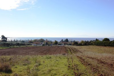 Photo 2 - Land 0 m² in Central Macedonia