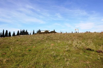 Photo 3 - Land 0 m² in Central Macedonia