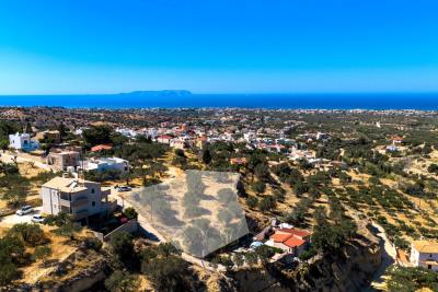 Top-Front-Plot-View--5-