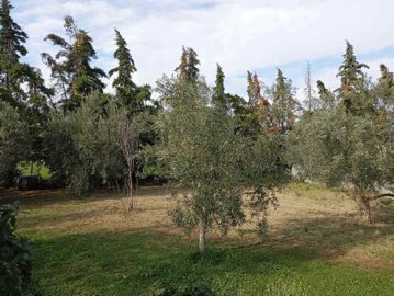 Photo 13 - Cottage 110 m² in Central Macedonia