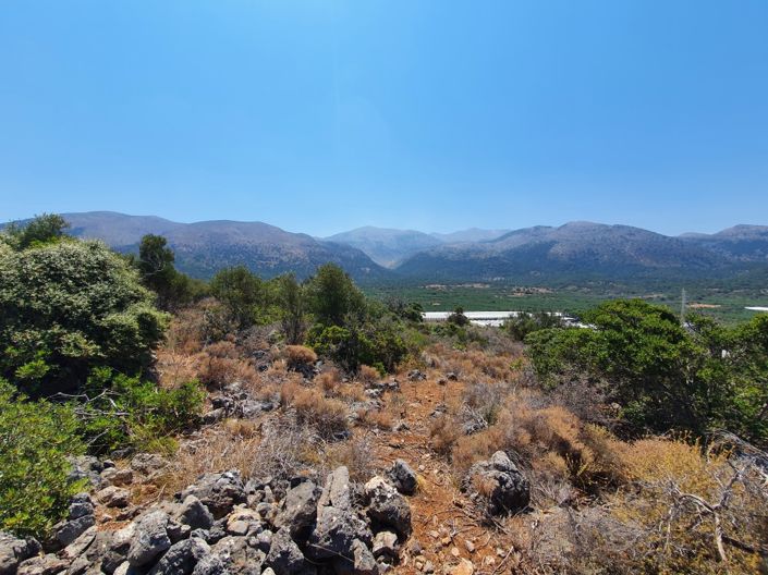 Image No.4-Terre à vendre à Sissi