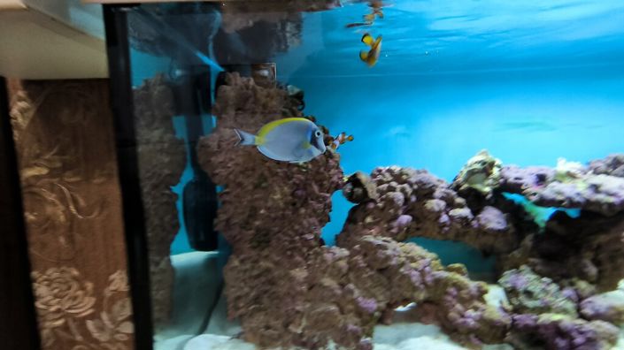 Image No.17-3 Bed Flat for sale