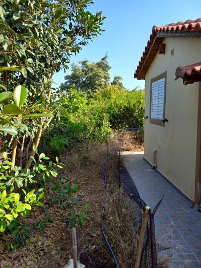 Image No.29-Propriété de 2 chambres à vendre à Kato Gouves