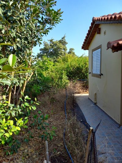 Image No.30-Propriété de 2 chambres à vendre à Kato Gouves