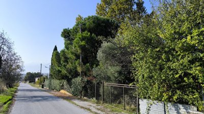 Photo 13 - Cottage 378 m² in Central Macedonia