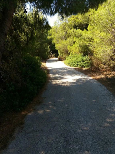 Image No.3-Appartement de 2 chambres à vendre à Rafina