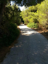 Photo 3 - Cottage 370 m² in Attica