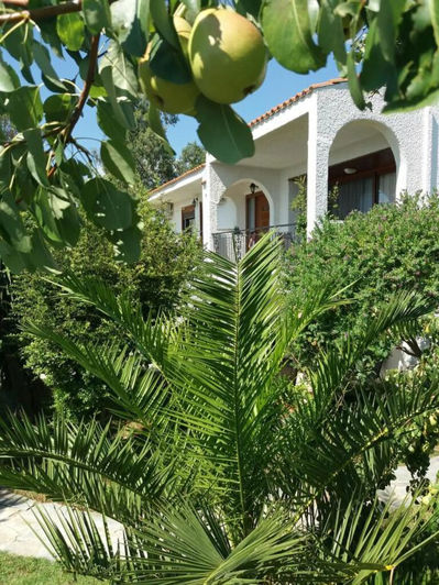 Image No.12-Appartement de 4 chambres à vendre à Rafina