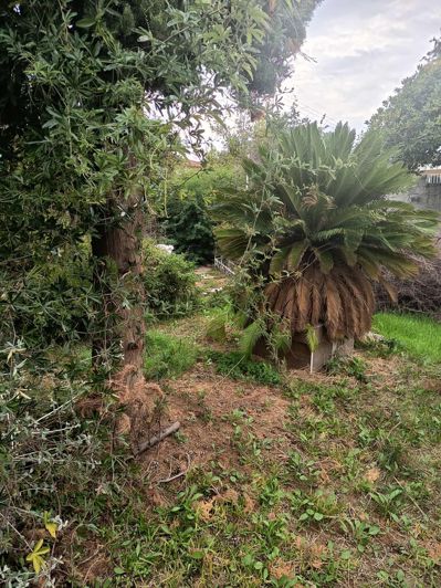 Image No.19-1 Bed Property for sale