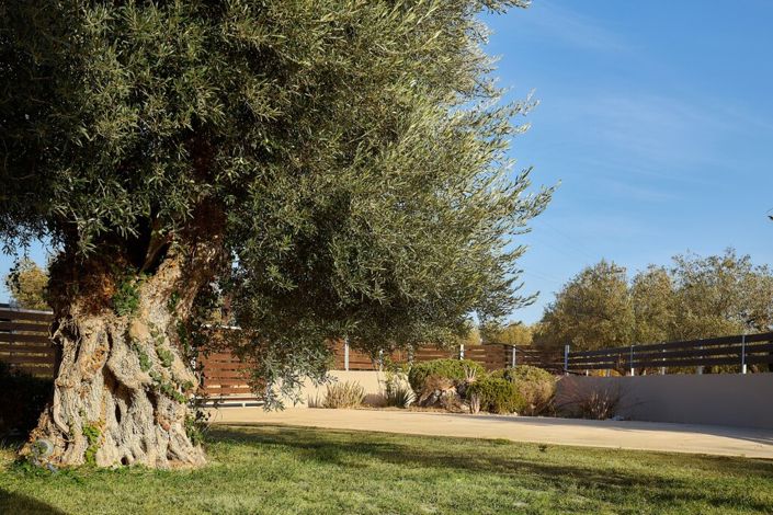 Image No.5-2 Bed Villa for sale