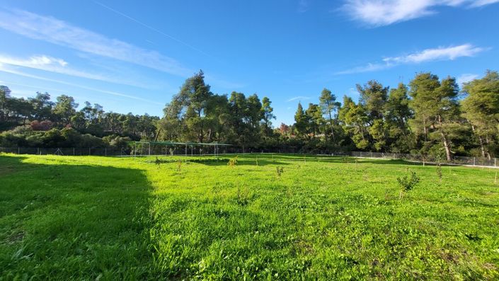 Image No.25-Propriété de 3 chambres à vendre à Halkidiki