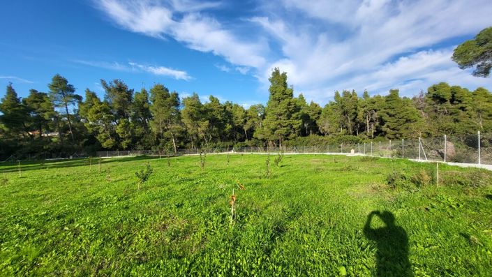 Image No.26-Propriété de 3 chambres à vendre à Halkidiki
