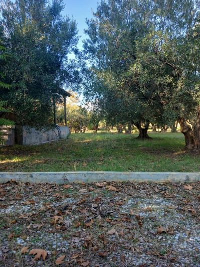 Image No.11-Propriété de 3 chambres à vendre à Halkidiki