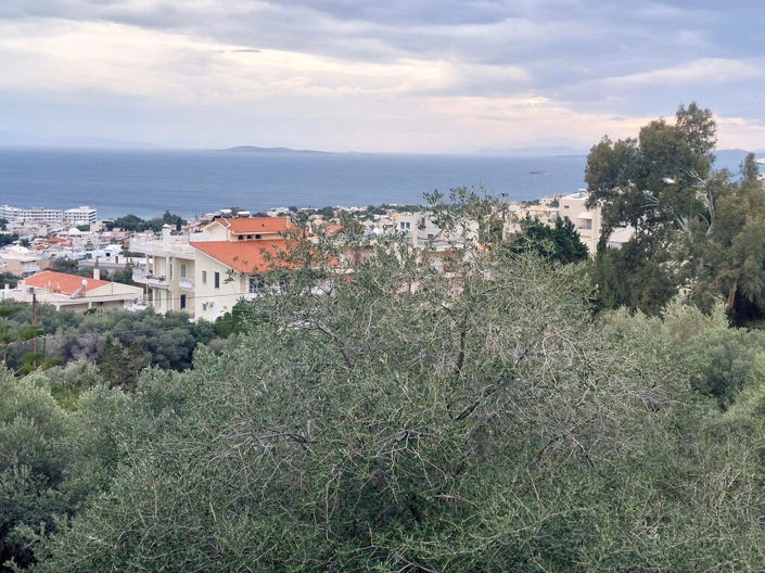 Image No.2-Land for sale