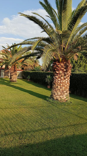 Image No.4-Property for sale