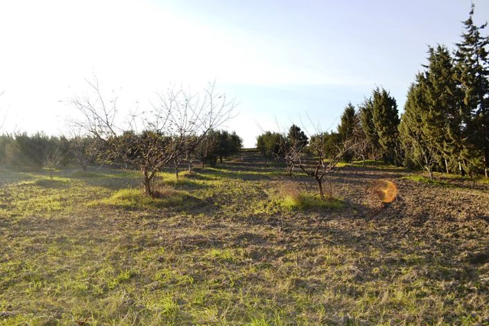 Image No.20-Propriété de 4 chambres à vendre à Halkidiki