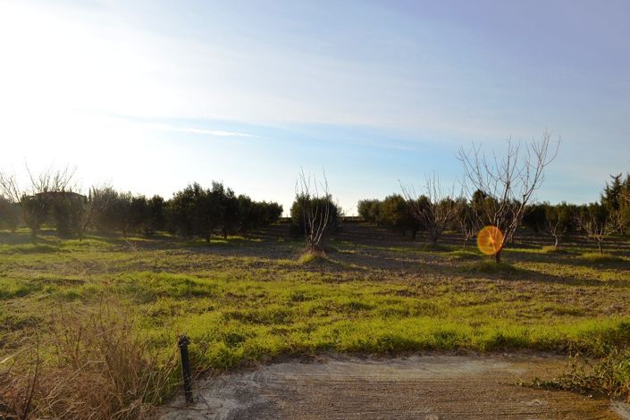 Image No.22-Propriété de 4 chambres à vendre à Halkidiki